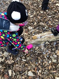 ŠD - krmení ptáčků v lese - obrázek číslo: 5