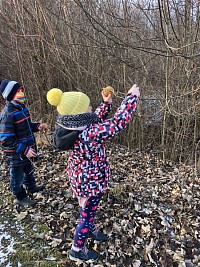 ŠD - krmení ptáčků v lese - obrázek číslo: 6