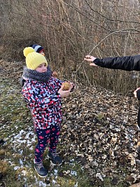 ŠD - krmení ptáčků v lese - obrázek číslo: 7