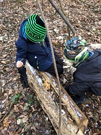 ŠD - krmení ptáčků v lese - obrázek číslo: 9