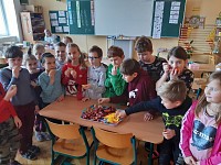 Ochutnávka exotického ovoce od firmy Bovys - obrázek číslo: 1