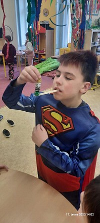 ŠD - Maškarní karneval 6.část - obrázek číslo: 2