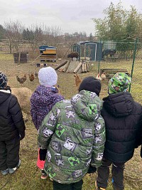 ŠD - návštěva zvířátek v Silůvkách - obrázek číslo: 2