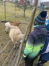 ŠD - návštěva zvířátek v Silůvkách - obrázek číslo: 3
