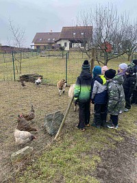 ŠD - návštěva zvířátek v Silůvkách - obrázek číslo: 6