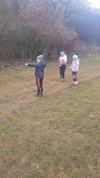 ŠD - Krmení zvířátek v lese - obrázek číslo: 7