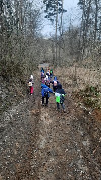ŠD - Krmení zvířátek v lese - obrázek číslo: 15