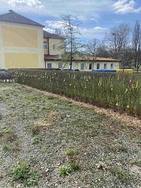 ŠD - zdobení plotu vajíčky - obrázek číslo: 2