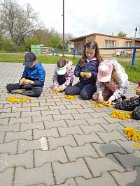ŠD - pletení věnečků z pampelišek - obrázek číslo: 3