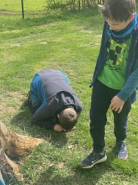 ŠD - pozorování přírody mikroskopy - obrázek číslo: 2