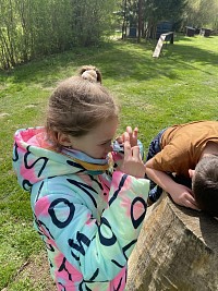 ŠD - pozorování přírody mikroskopy - obrázek číslo: 6