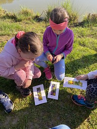 Prvouka 2.+3.třída a práce s mikroskopy - obrázek číslo: 5