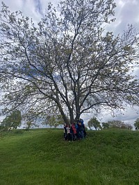 ŠD - Den země - obrázek číslo: 2