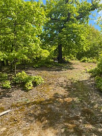 Poslední klíč strážců Země - obrázek číslo: 14