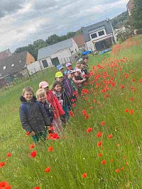 ŠD - výlet do cukrárny - obrázek číslo: 13