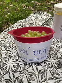 ŠD - Čarodějnice v lese - obrázek číslo: 2