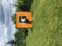 Škola v přírodě - 4.den - obrázek číslo: 9