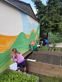 Zvelebujeme školní zahradu - obrázek číslo: 6