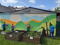 Zvelebujeme školní zahradu - obrázek číslo: 7