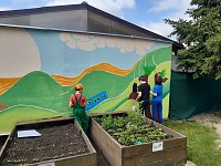 Zvelebujeme školní zahradu - obrázek číslo: 9