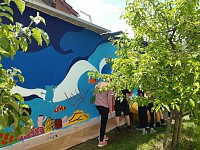 Zvelebujeme školní zahradu - obrázek číslo: 14