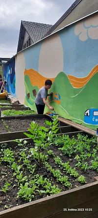 Zvelebujeme školní zahradu - obrázek číslo: 32