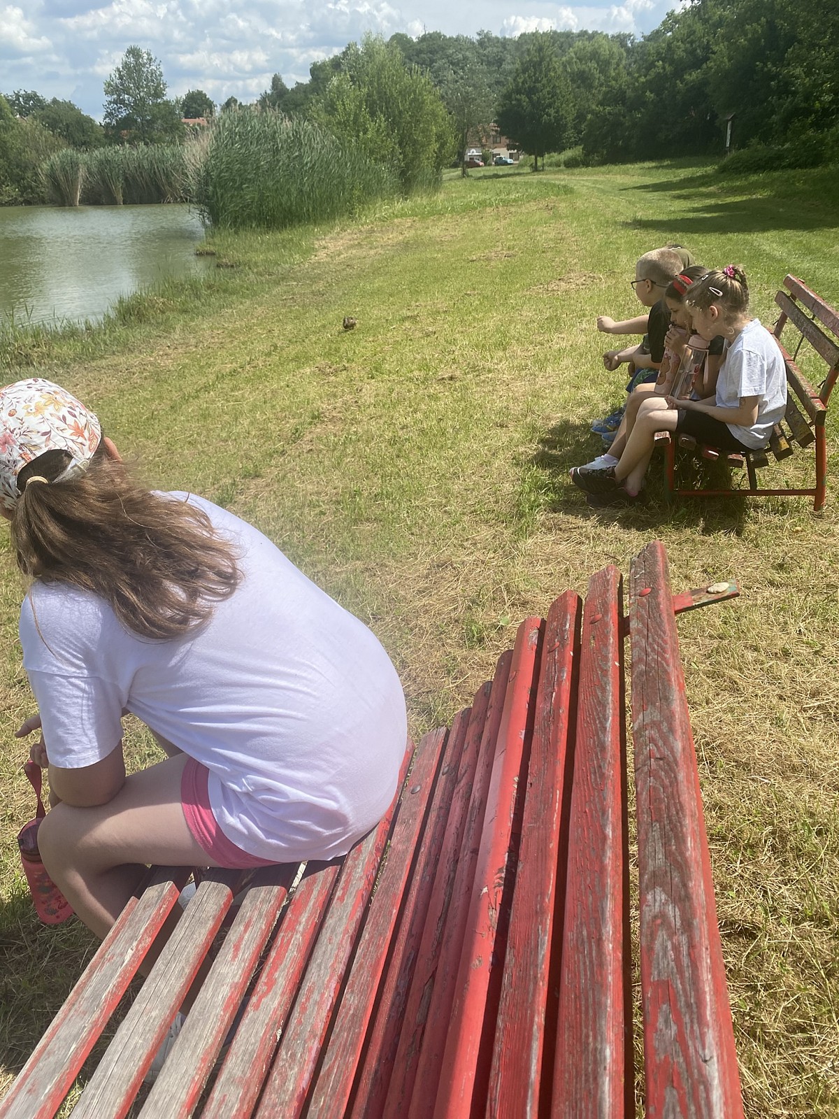 ŠD - pozorování kachen na Biocentru - obrázek: img_0278.jpeg