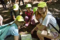Školní výlet - Tajemství pod hradem Veveří - obrázek číslo: 1