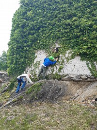 Škola v přírodě - den 5. - obrázek číslo: 11