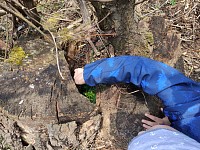 Posíláme pozdravy kamarádům - obrázek číslo: 1