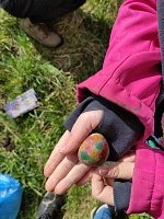 Posíláme pozdravy kamarádům - obrázek číslo: 7