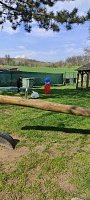 Čarodějnice - obrázek číslo: 34
