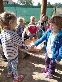 Narozeniny Linda - obrázek číslo: 4